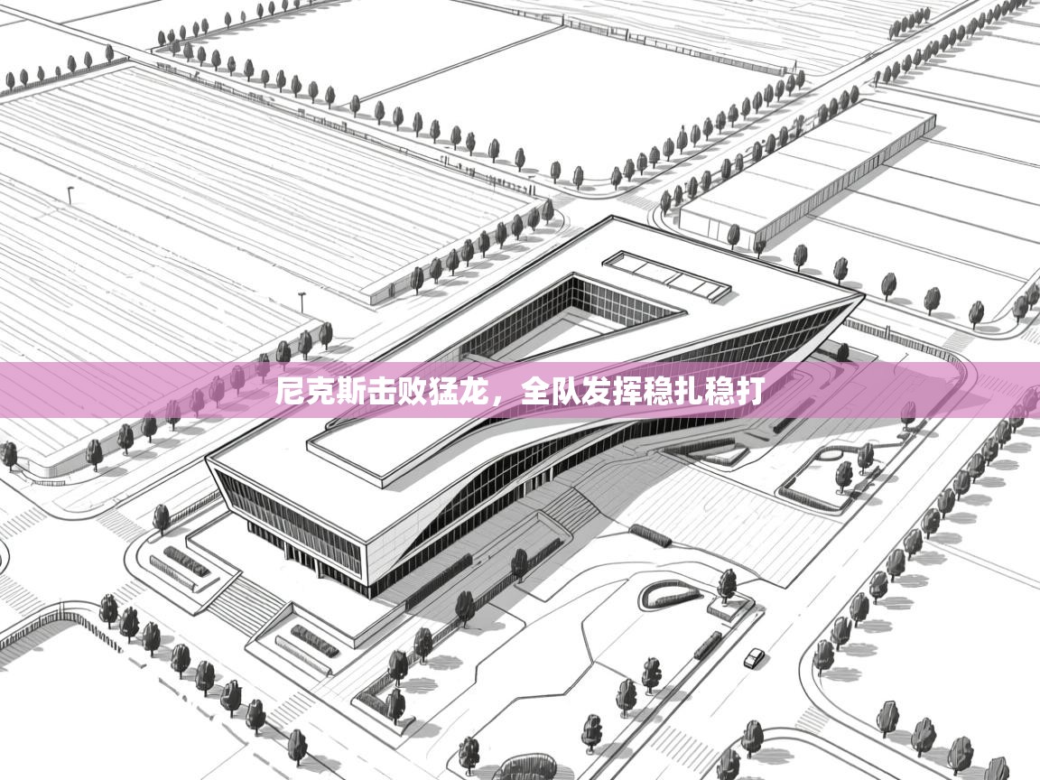 尼克斯击败猛龙，全队发挥稳扎稳打  第2张