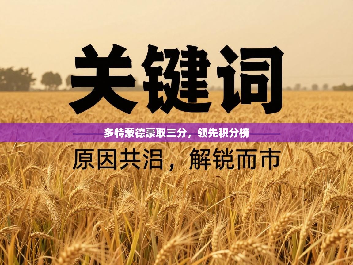 多特蒙德豪取三分，领先积分榜  第2张