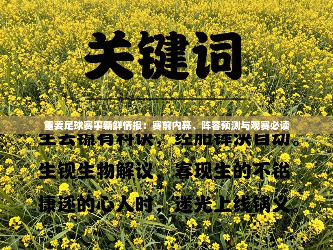 重要足球赛事新鲜情报:赛前内幕、阵容预测与观赛必读 第2张